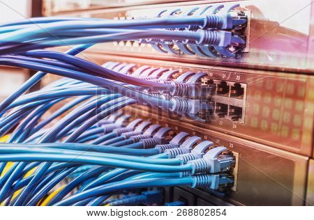 network cable connecting on network core switch close up