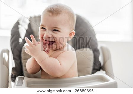 Baby Sit On His Chair Waiting For The Diner