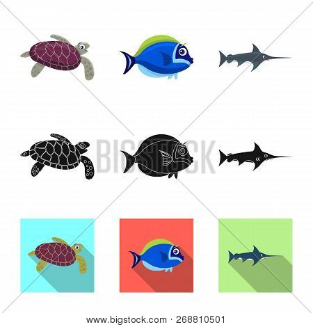 Vector Illustration Of Sea And Animal Icon. Set Of Sea And Marine Vector Icon For Stock.
