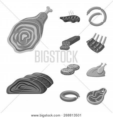 Vector Illustration Of Meat And Ham Logo. Set Of Meat And Cooking Vector Icon For Stock.