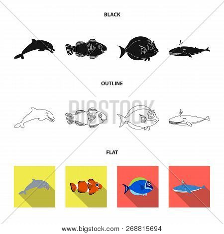 Vector Illustration Of Sea And Animal Symbol. Set Of Sea And Marine Vector Icon For Stock.