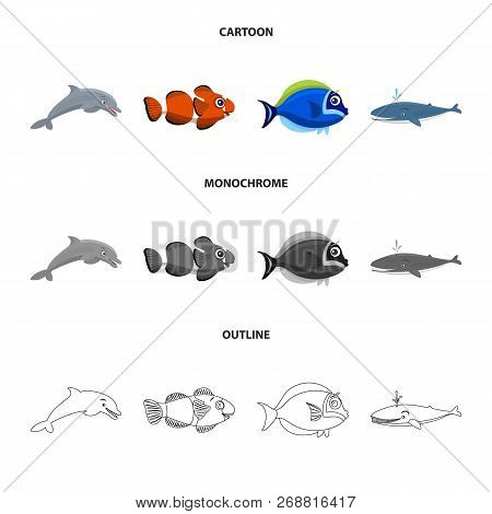 Vector Illustration Of Sea And Animal Sign. Set Of Sea And Marine Stock Vector Illustration.