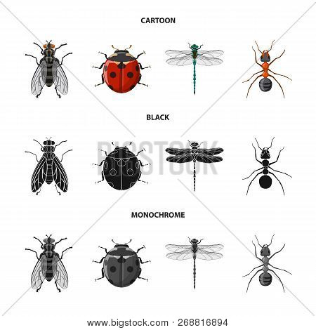 Isolated Object Of Insect And Fly Icon. Set Of Insect And Element Vector Icon For Stock.