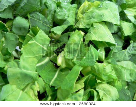 Legumes
