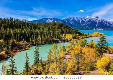 The picturesque Abraham lake in the valley of Canada. The emerald water of the lake is surrounded by evergreen coniferous forests. Concept of active, ecological and photo tourism