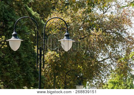 Vintage Lamp - With Green Trees Surrounding The Lamp.