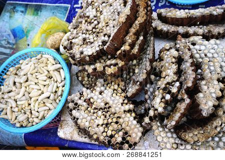 Wild Wasp Nests With Edible Pupa And Larva At A Market In Rural Southeast Asia