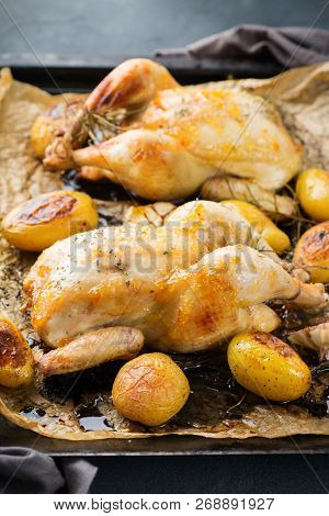 Roasted Chicken With Spices, Herbs, Garlis, Small Potatoes