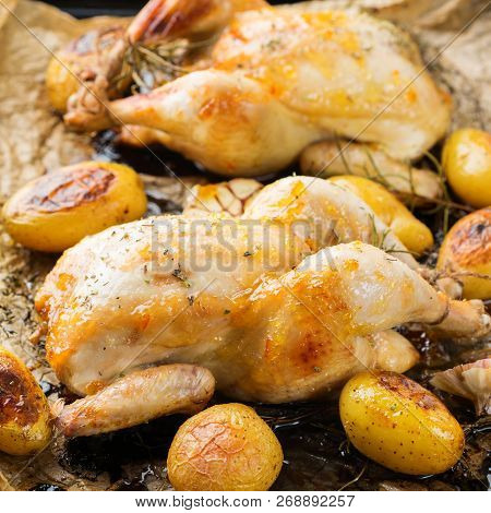 Roasted Chicken With Spices, Herbs, Garlis, Small Potatoes