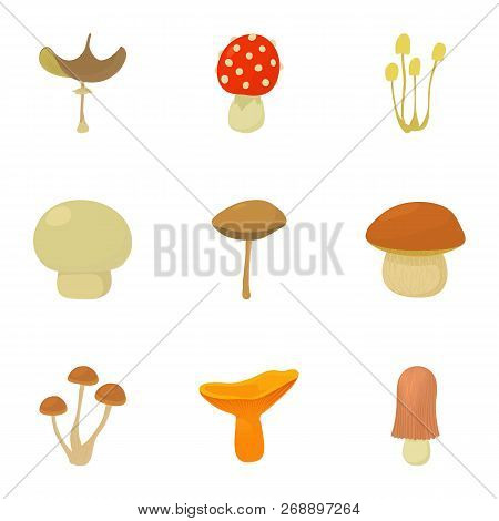 Shelf Fungus Icons Set. Cartoon Set Of 9 Shelf Fungus Vector Icons For Web Isolated On White Backgro