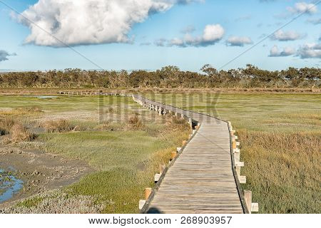 View From The Boardwalk To The Geelbek Bird Hide On The Langebaan Lagoon On The Atlantic Ocean Coast
