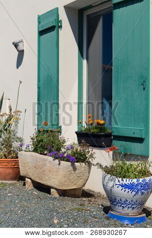 Outdoor garden in front of the house in pots