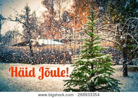 Winter Card With Pine Tree Growing In Yard And Estonian Red Phrase Merry Christmas, Greeting Christm