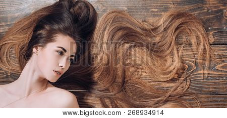 Natural Girl With Long Healthy Hair. Longhair And Hairstyle Concept. Hair Salon Concept. Brunette Gi