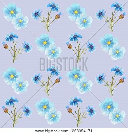 Cornflower Blue Flowers Pattern Watercolor Illustration Seamless