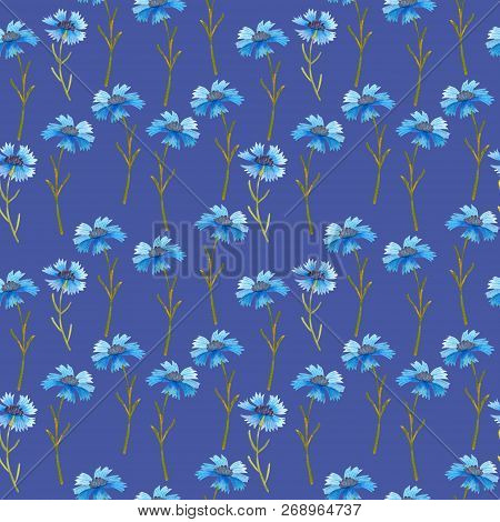 Cornflower Blue Flowers Pattern Watercolor Illustration Seamless