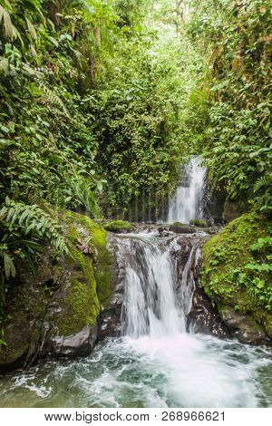 Small Waterfall In Nambillo Cloud Forest Reserve Near Mindo, Ecuador.