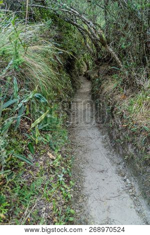 Tourist Trail Around Laguna Cuicocha Lake In Ecuador