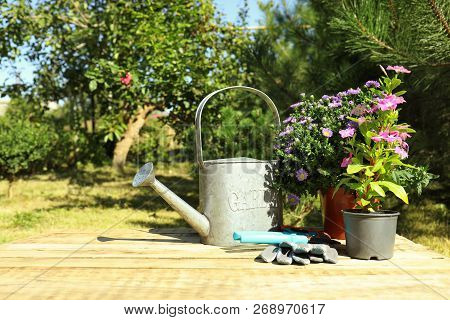 Potted Flowers And Gardening Tools On Table Outdoors