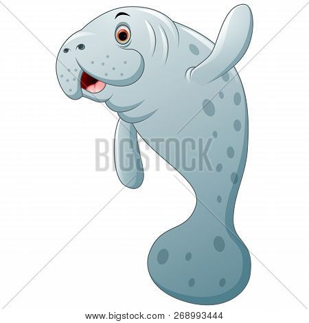 Vector Illustration Cartoon Of The Cute Seal