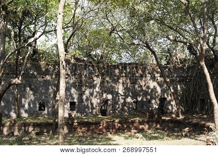 Stone Walls Of The Old Thrown Fort Overgrown With Roots Of Trees