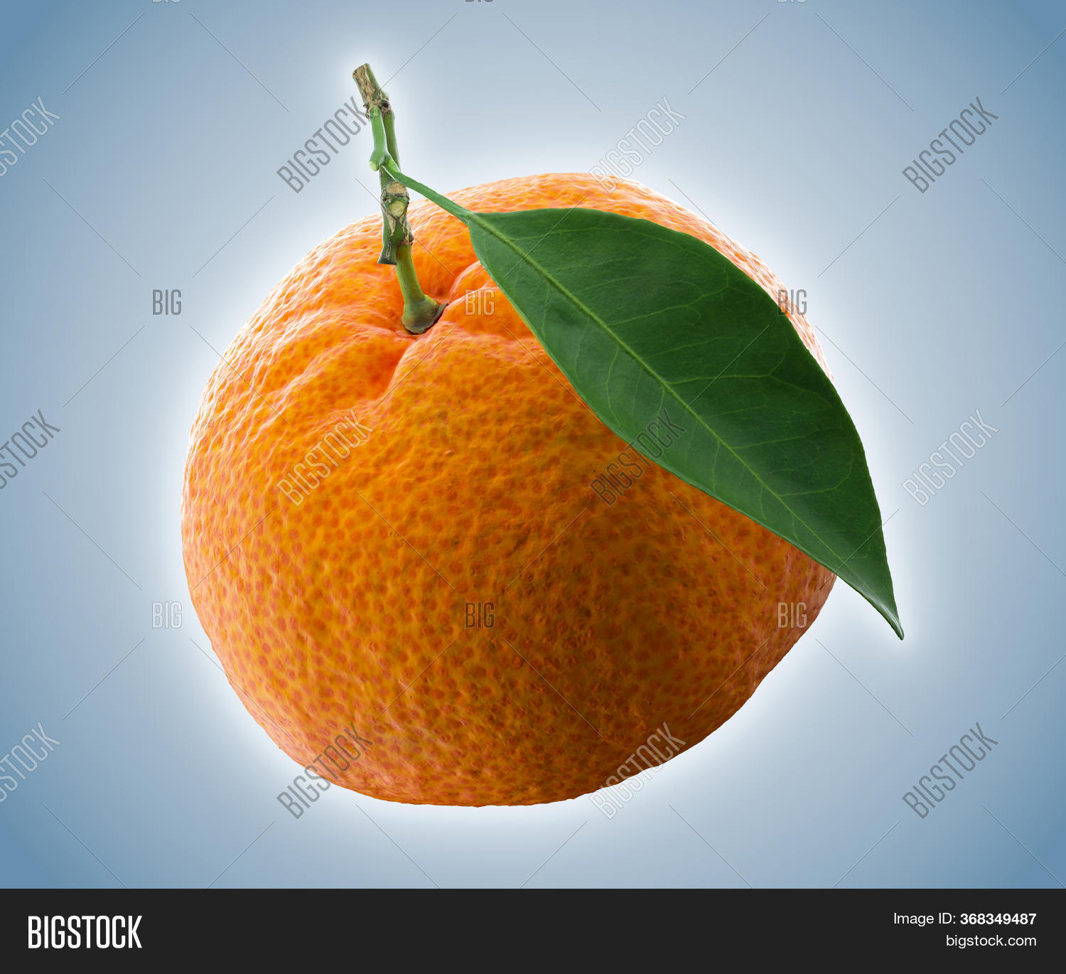 Tangerine Clementine Image & Photo (Free Trial) Bigstock