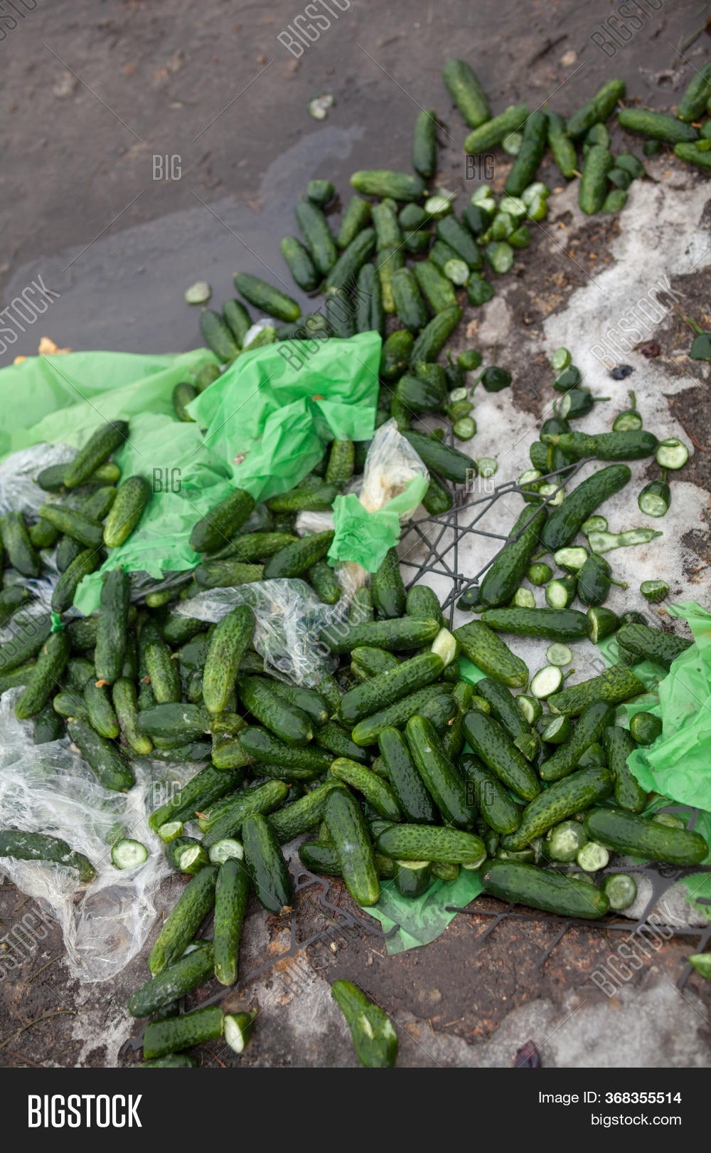 Piles Cucumbers On Image & Photo (Free Trial) Bigstock