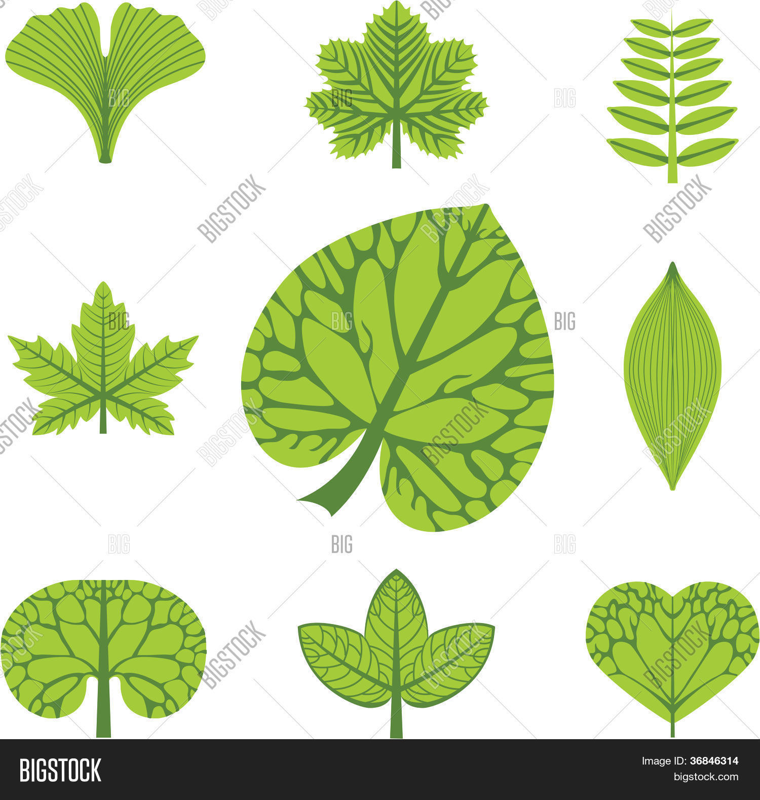 Different Types Vector & Photo (Free Trial) Bigstock