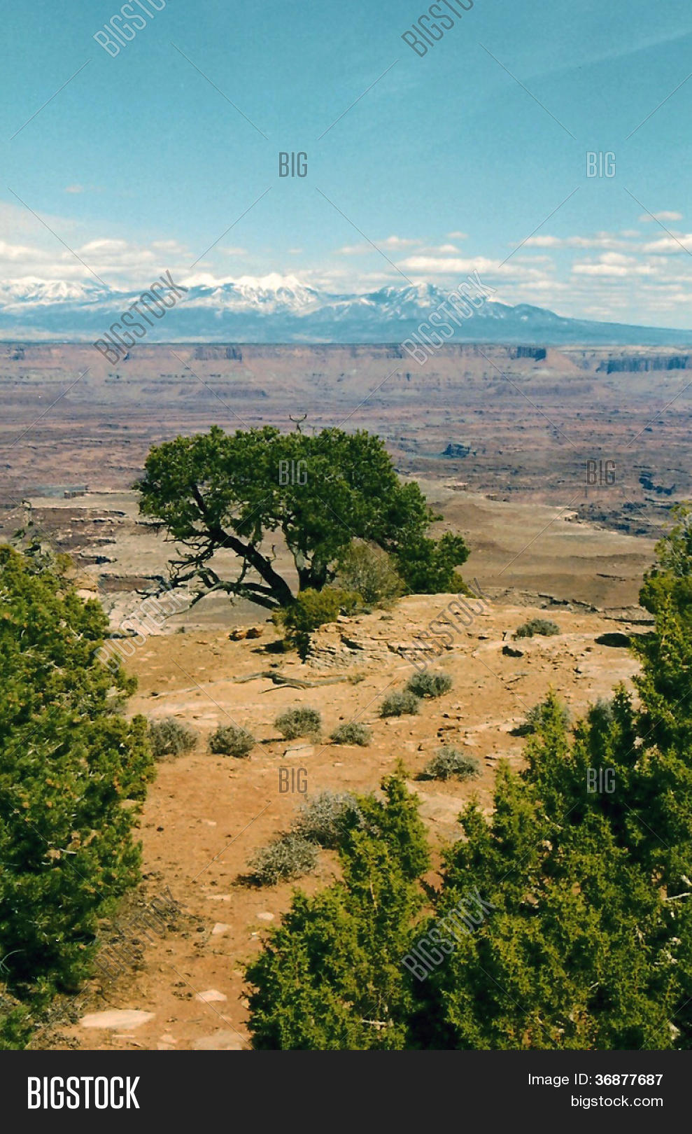 Clinging Edge Utah Image & Photo (Free Trial) Bigstock
