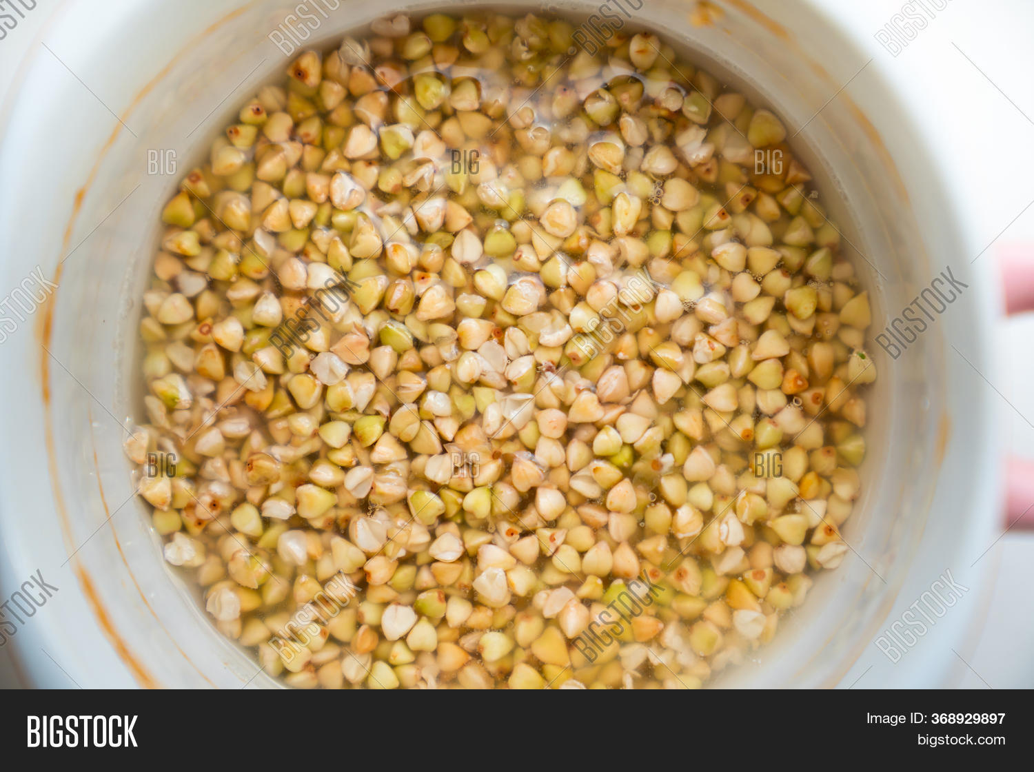 Green Buckwheat Soaked Image & Photo (Free Trial) Bigstock
