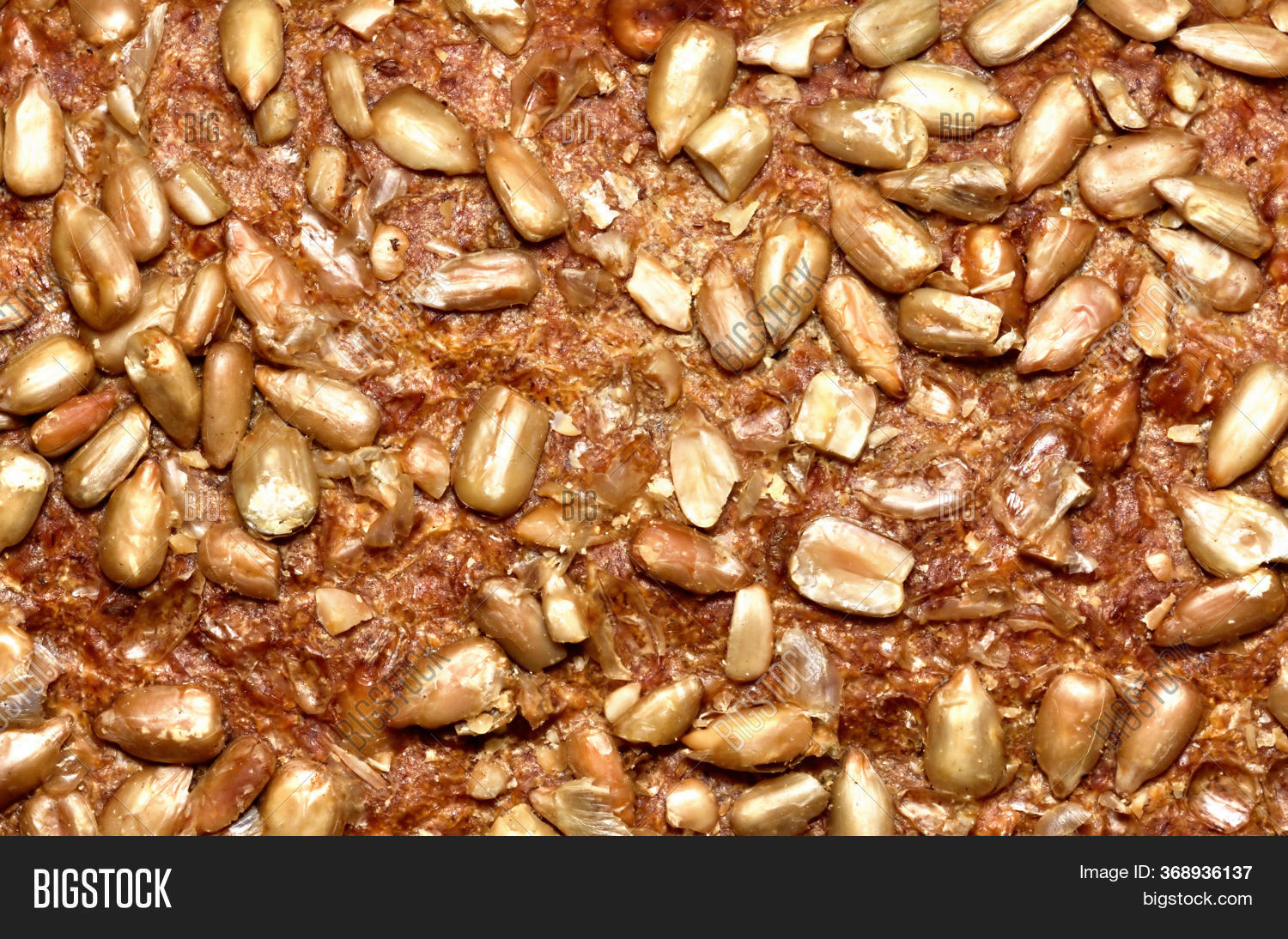 Bread Crust Texture Image & Photo (Free Trial) | Bigstock
