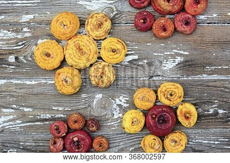 Yellow And Red Bulbs Of Gladioli Lie In The Form Of Flowers On A Seorm Background. View From Above