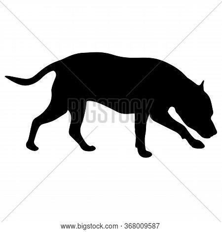 Dunker Dog Black Silhouette On White Background