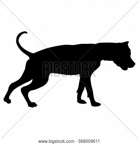 Dunker Dog Black Silhouette On White Background