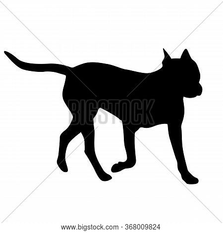 Dunker Dog Black Silhouette On White Background