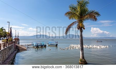 Dock And Promenade On Lake Chapala With A Palm Tree, White Pelicans, Motor Boats And Mountains In Th