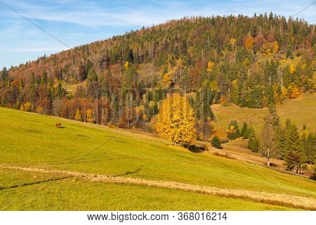 autumn landscape near saddle Beskyd in Slovakia
