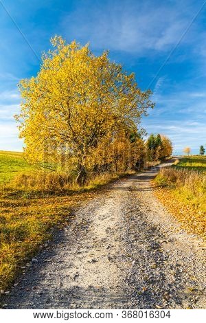 road with autumn tree near saddle Beskyd in Slovakia