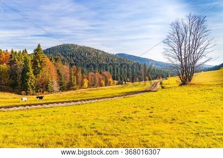 autumn landscape with forest railway near saddle Beskyd in Slovakia