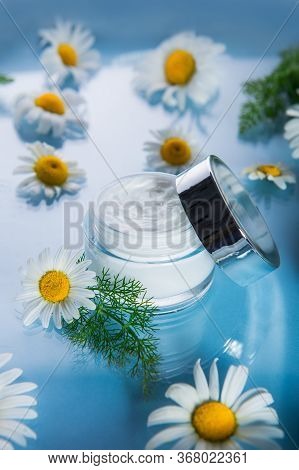 Herbal Cosmetic Cream In Opened Container With Fresh Chamomile Flowers On A Light Blue Glass Backgro