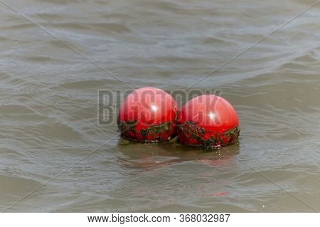 A Close Up View Of Two Small Red Floating Boys In The Dirty Water