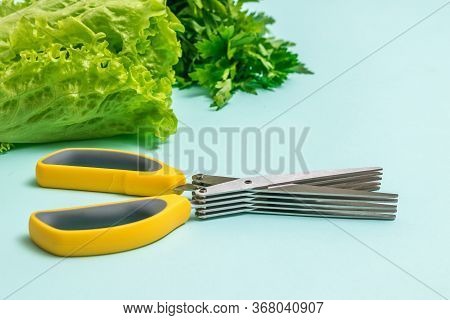 Kitchen Scissors With Multiple Blades And A Large Amount Of Greenery On A Light Background. A Device