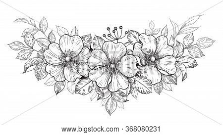 Hand Drawn Dog-rose Bunch With Flowers And Leaves Isolated On White. Vector Line Art Monochrome Eleg