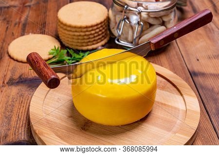 Dutch Baby Gouda Cheese In Yellow Wax Close Up