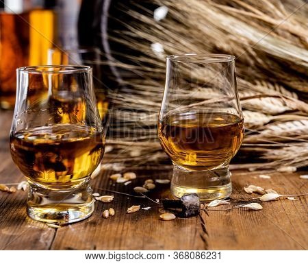 Small Tasting Glasses With Aged Scotch Whisky On Old Dark Wooden Vintage Table With Barley Grains Cl