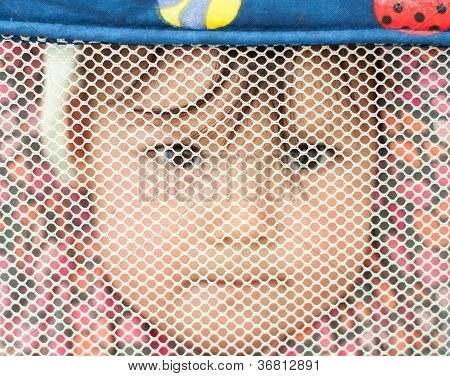 Bambino guardando attraverso Play Pen Mesh