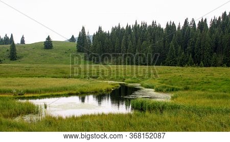 Lake In The Mountains In Apuseni Natural Park