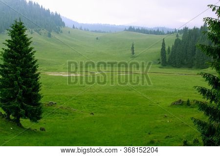 Poiana Ponor, Padis, Apuseni Natural Park, Romania
