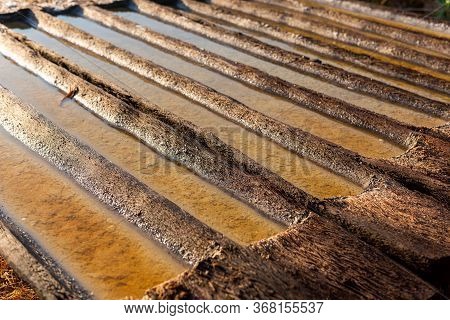 Producing Sea Salt In Bali, Process. Salt Making Process