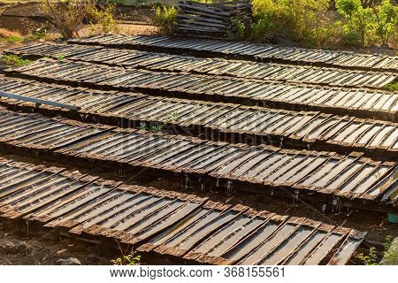Producing Sea Salt In Bali, Process. Salt Making Process
